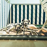 Hundefreundliches Family H3 010 * Spalt